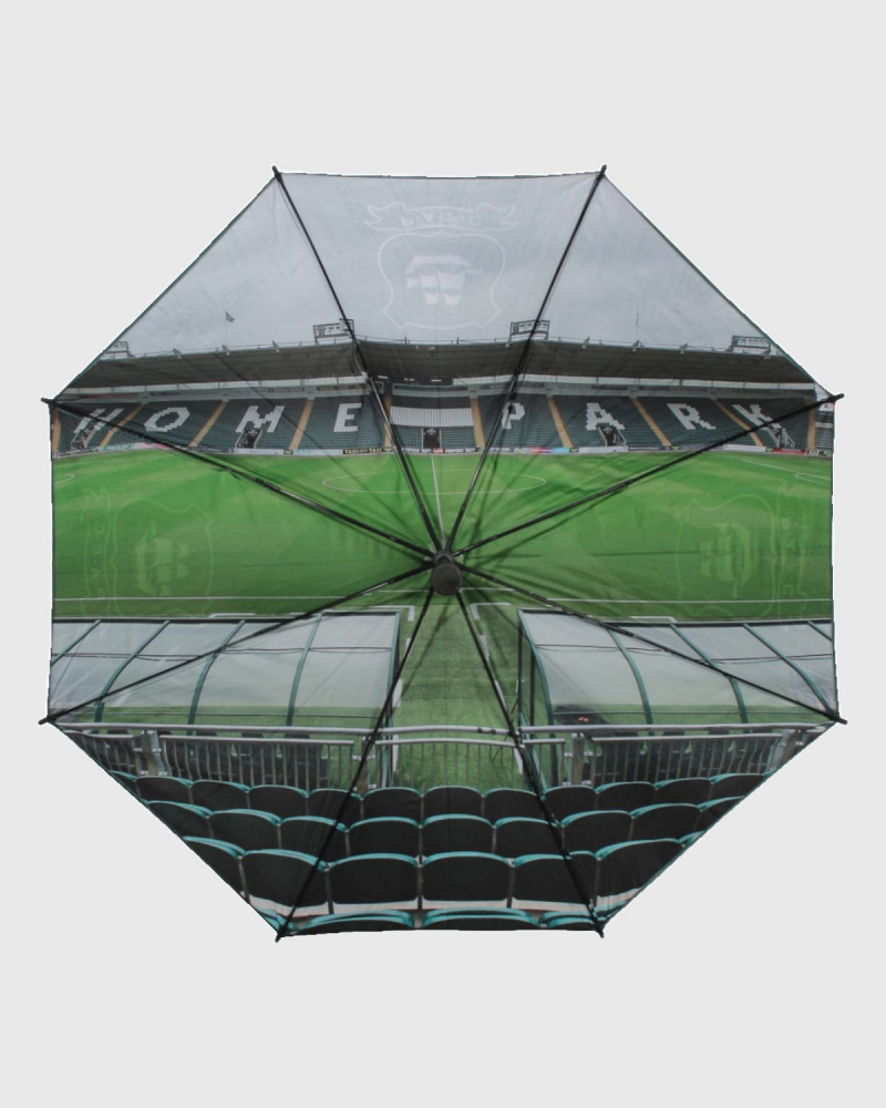 Large Umbrella