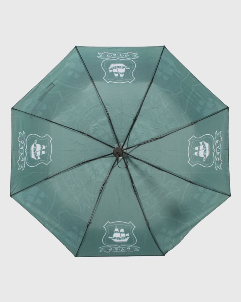 Foldable Umbrella