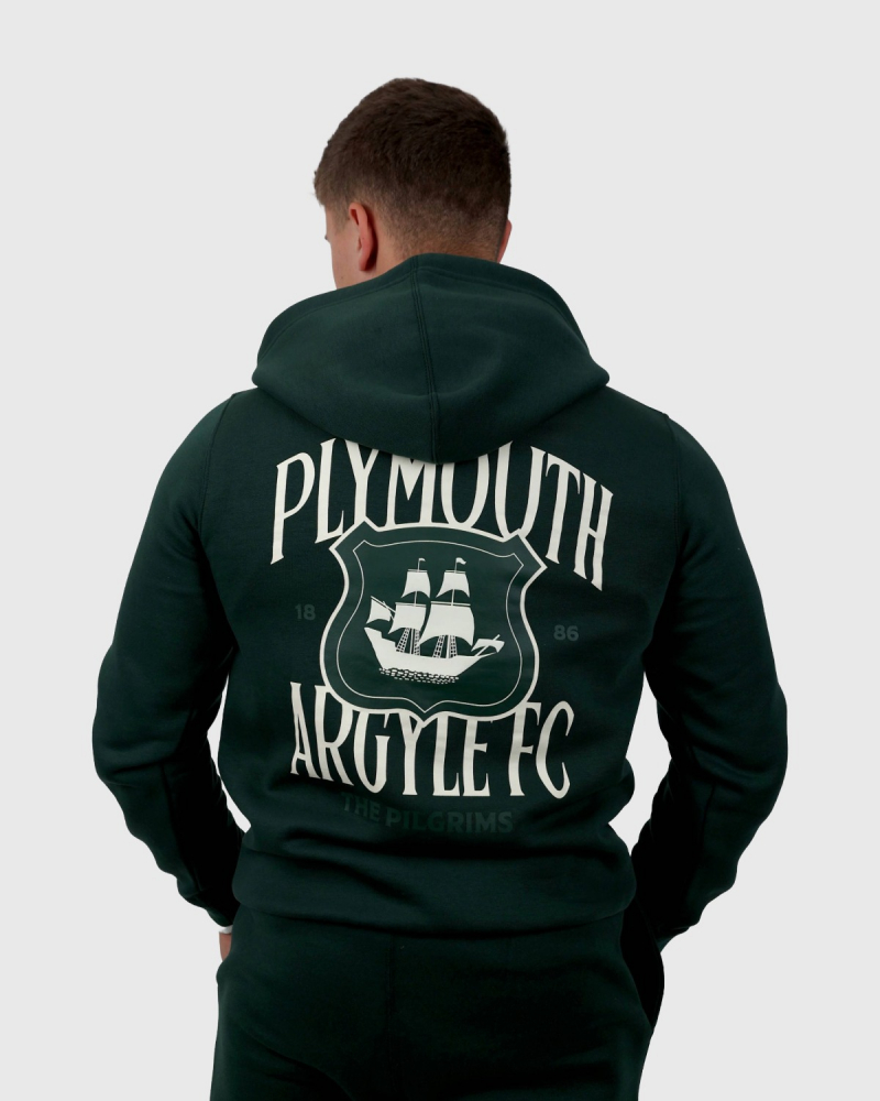 PAFC Crest Graphic Adult Hoodie