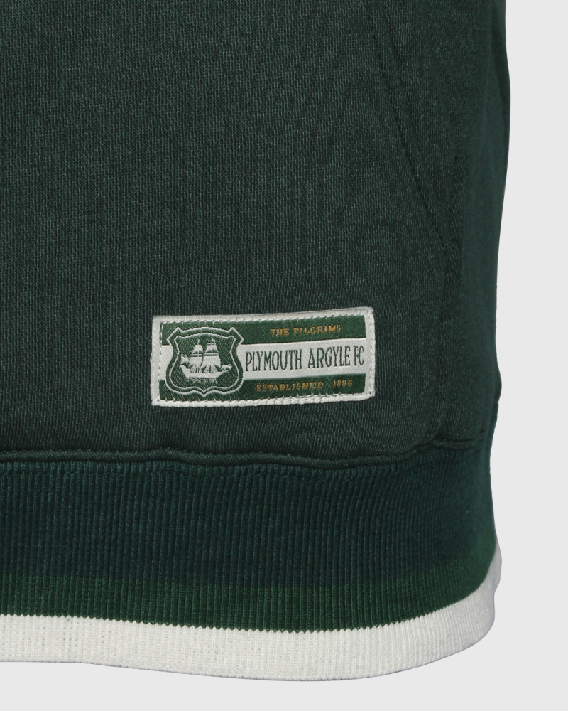 PAFC Crest Graphic Adult Hoodie