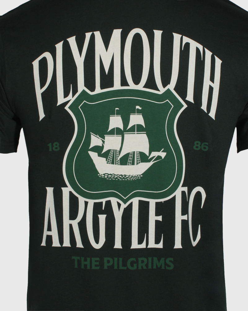 PAFC Crest Graphic Adult Tee
