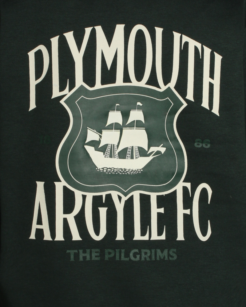 PAFC Crest Graphic Junior Hoodie