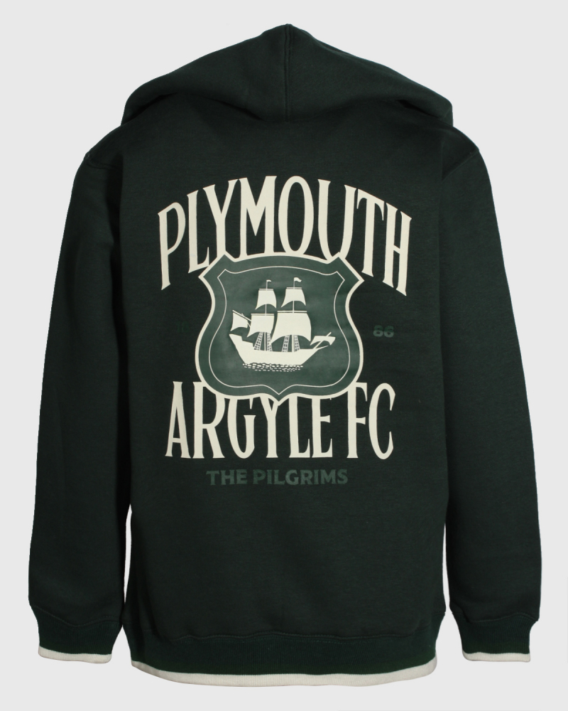 PAFC Crest Graphic Junior Hoodie