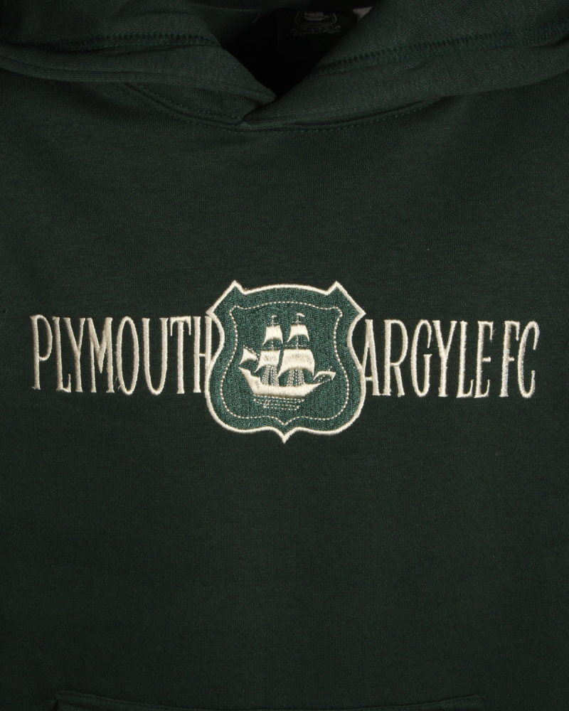 PAFC Crest Graphic Junior Hoodie