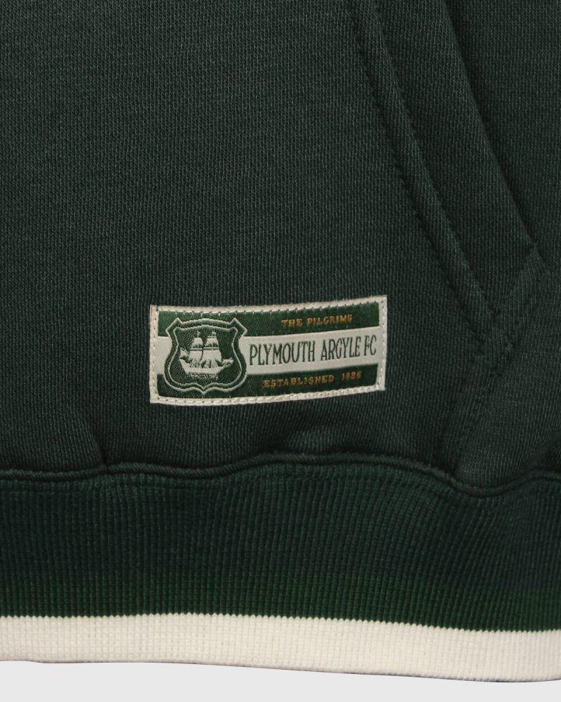 PAFC Crest Graphic Junior Hoodie
