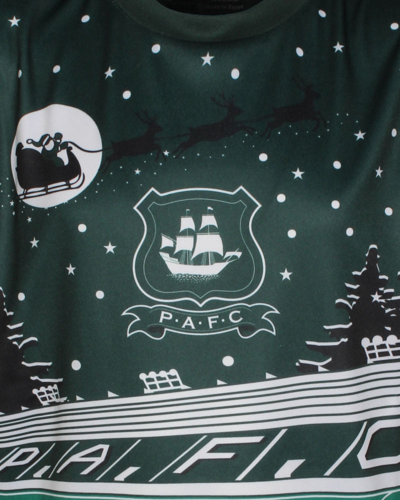 Junior Christmas Tee