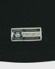 PAFC Polo