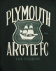 PAFC Crest Graphic Junior Hoodie