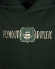 PAFC Crest Graphic Junior Hoodie