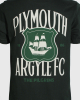 PAFC Crest Graphic Junior Tee