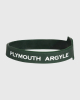Large Crest Silicon Wristband