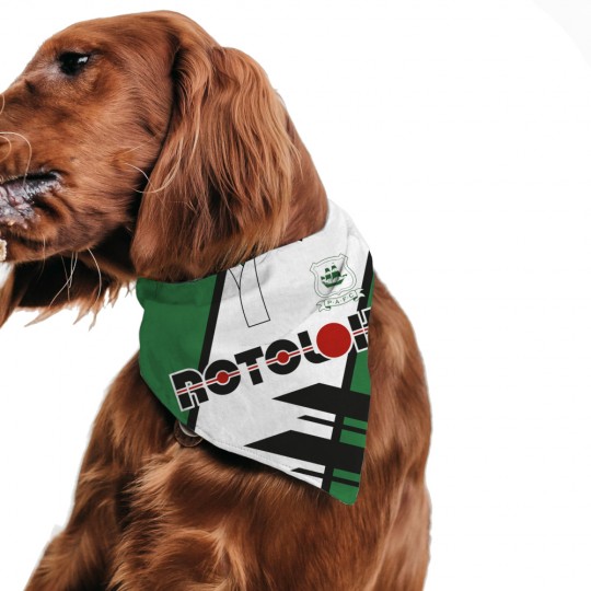 Rotolok Pet Bandana
