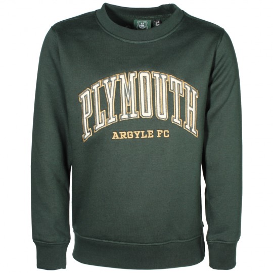 Slytherin college deals sweatshirt