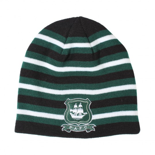 Green Reversible Beanie