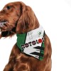 Rotolok Pet Bandana