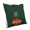Ginsters Cushion