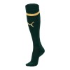 23/24 Home Sock