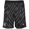 23/24 Away GK Short Adult