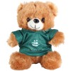 PAFC Tan Bear