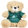 PAFC Blonde Bear