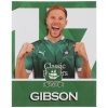 Gibson Player Photo