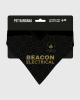 25-26 Away Kit Pet Bandana