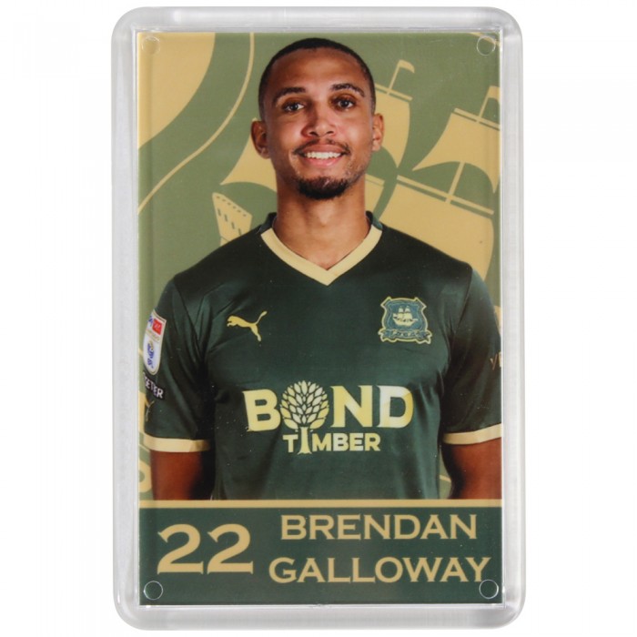 Galloway Player Magnet