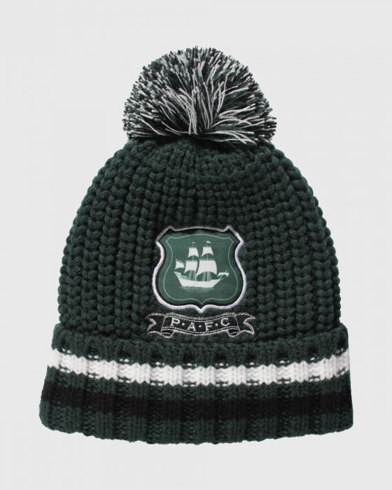 Chunky Stripe Beanie
