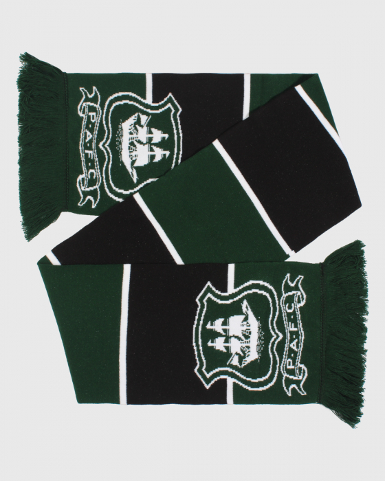 Green and Black Bar Scarf