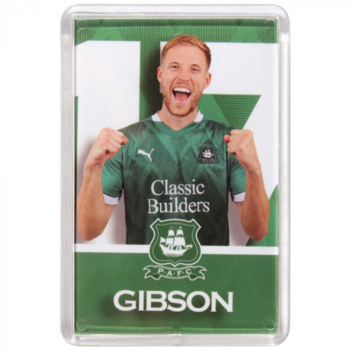 Gibson Player Magnet